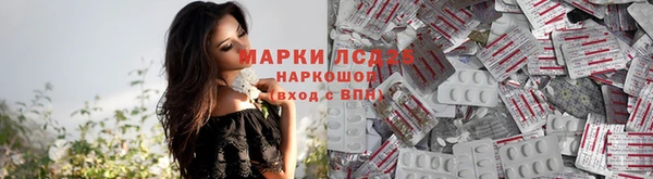 твердый Алексеевка