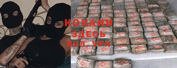 spice Елизово